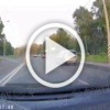 Угашенная наркоманка из Питера запрыгнула на машину прямо на дороге и голой ногой разбила лобовое стекло