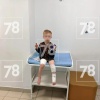 Бультерьер снова напал на ребёнка. В деревне Коккорево соседский бультерьер...