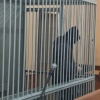 В Бородино подозреваемому в попытке сбыта наркотиков избрана мера пресечения...