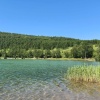 Смерти на воде: в Красноярском крае в непредназначенных для купания местах...