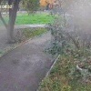 Неизвестные стреляли по окнам в Ачинске
