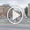 Очередная мама-утка повела своих детей через дорогу прямо...