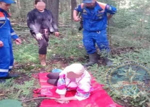 Спасатели вынесли из леса пенсионерку, которую искусали пчелы. - В лесном...