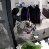 В Екатеринбурге стоматолог избил вора, который хотел украсть телефон