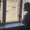 В одной из московских квартир под москитной сеткой оказалась в ловушке...