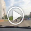 «Зачем тротуар, если можно пойти прямо по дороге?», —...