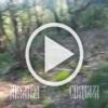 ❗️Сумское направление, проверка обороны противника на...