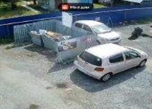 В СНТ «Маяк» мужчина разломал клумбы и поставил машину на пожарном развороте