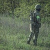 Жительница края хотела получить 3 миллиона и заявила, что родила от погибшего участника СВО.