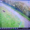 Кадры ликвидации медведя, пробравшегося на территорию школы-интерната на Камчатке