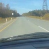 Медведь попытался выгнать водителя и угнать КАМАЗ в ХМАО