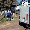Спасатели достали двух собак из колодца в Богучанах. Пёсели провалились в...
