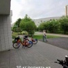 Курьера уволили, из-за отказа тащить 30 литров воды без лифта
