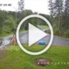 Под Красноярском велосипедисты едва не нарвались на семью медведей.
