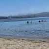 Жители Находки отдыхают, загорают, купаются — и всё это на фоне загрязнённого...