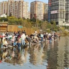10 тысяч мальков выпустили в Ангару