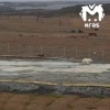 Медведи стали чаще выходить к вахтовикам в Таймыре. Примерно в 40 километрах...