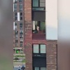 В Москве два мальчика помочились из окна 14 этажа в ЖК «Пригород лесное». На...