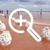 Открытие курортного сезона на знаменитом курорте «Солёные...