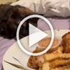 Жесткие кадры: хищнику из семейства кошачьих пришлось...