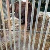 Московские зоозащитники прилетели в Красноярск спасать медведя Кузю Команда...