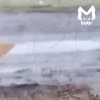 Алабай на самовыгуле загрыз домашнего пса, сидящего на цепи, в посёлке...