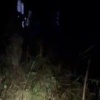 Пожилая женщина чуть не утонула в болоте под Верхней Пышмой