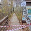 Туристические маршруты закрыли в Слюдянском районе из-за медведей