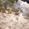 Мэрия потратила 4 млн на охрану долгостроя на Ватутина в Новосибирске, но...