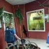 Юная тайра устроила побег из зоопарка Екатеринбурга. Малышулик не пострадал,...