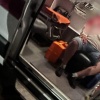 Медведь набросился на известную татарскую певицу и её музыкантов: девушка...