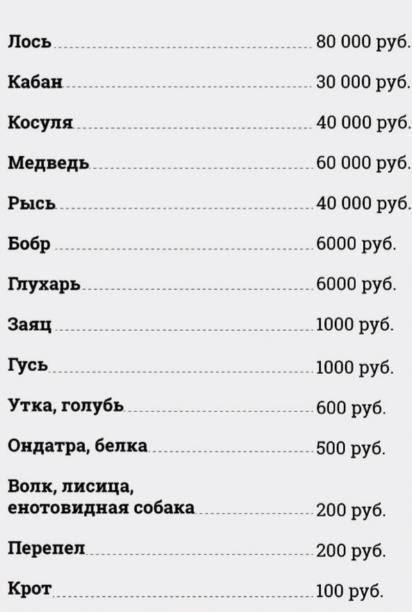 «80 тысяч за лося, 600 рублей за голубя и 100 за...