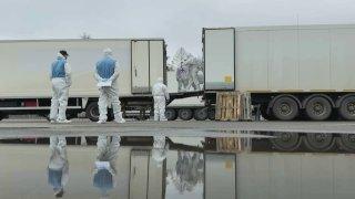 Россия передала Украине 1000 тел погибших военных, украинская сторона передала 41 тело российских военнослужащих