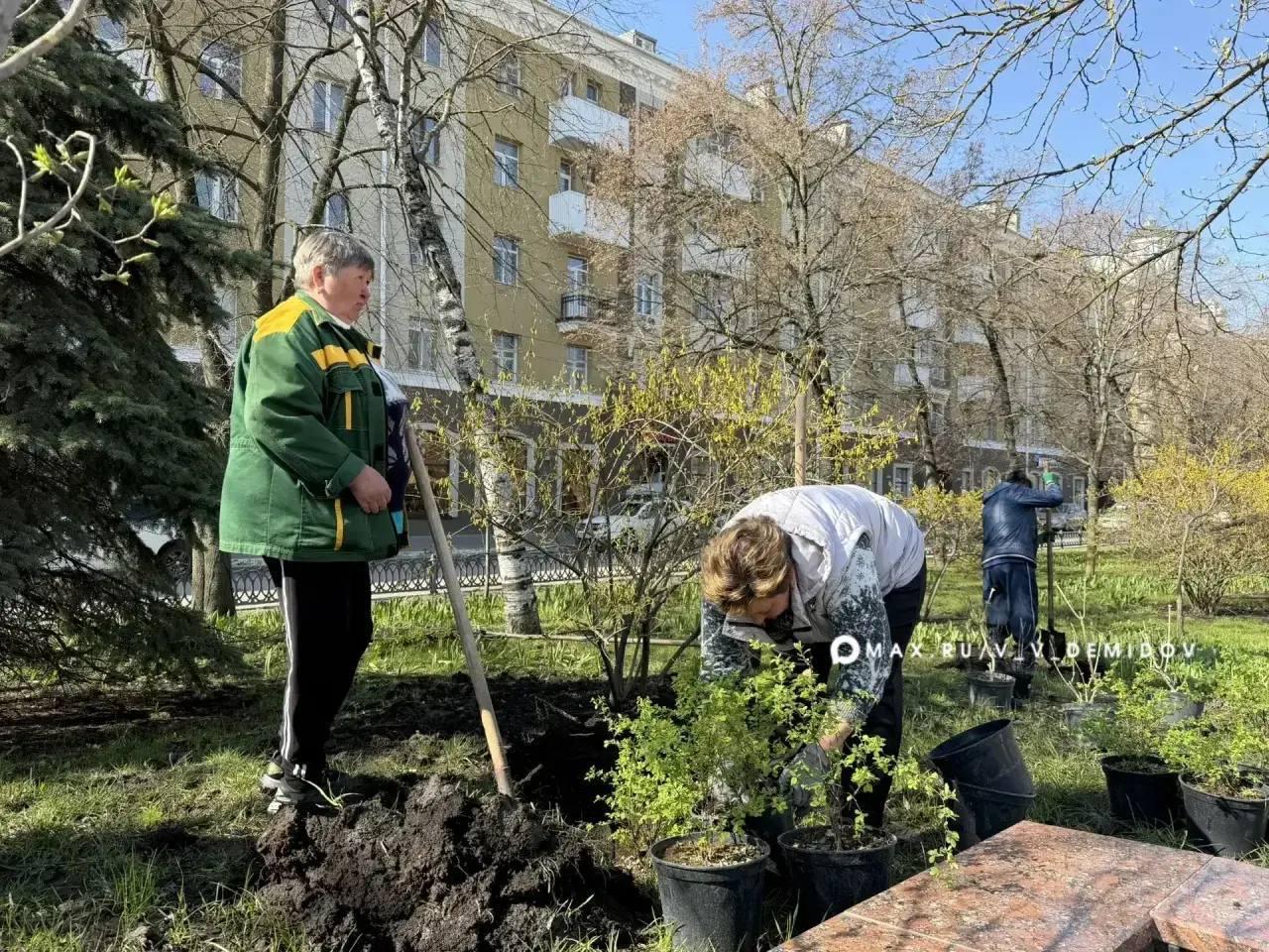 🌷У Вечного огня на Соборной площади Белгорода благоустраивают клумбы к 9 Мая