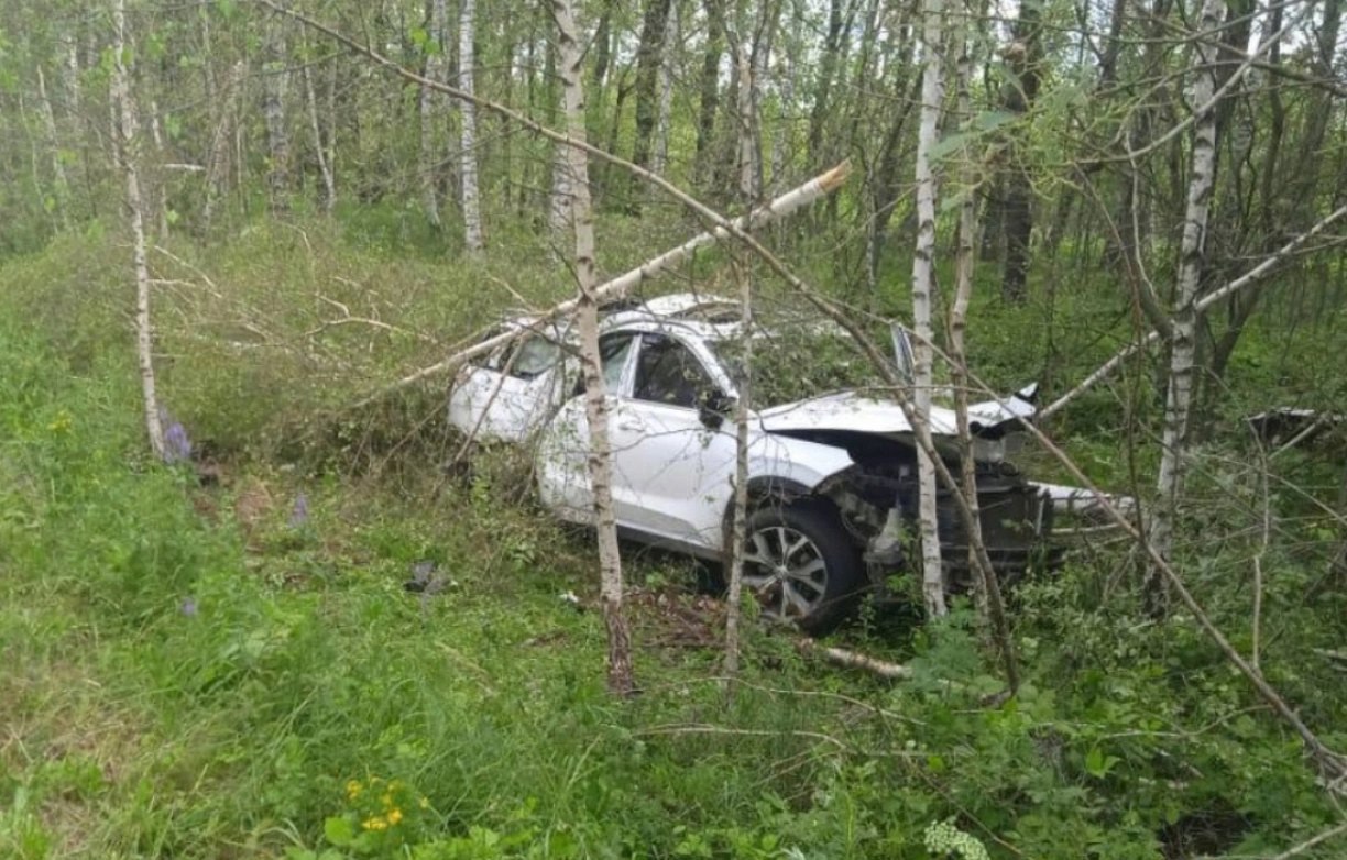 В Рязанской области пьяные покатушки юношей закончились гибелью 17-летнего парня
