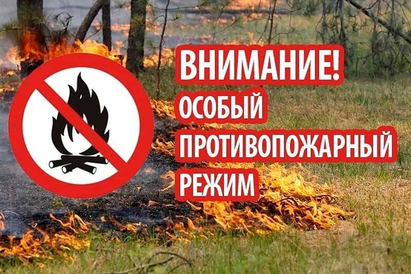 В период действия особого противопожарного режима запрещено: