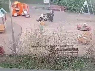 Взрыв на детской площадке в Красногвардейском районе попал на видео