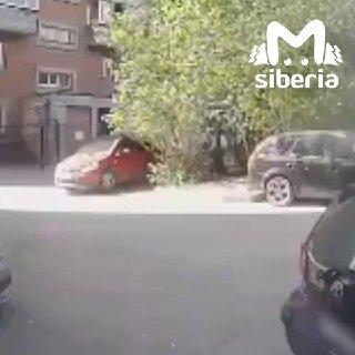 Мужик открыл стрельбу в новосибирском дворе. Предварительно, двое жителей...