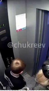Бойцовские собаки держат в страхе жителей дома на Белинского, 113 в...