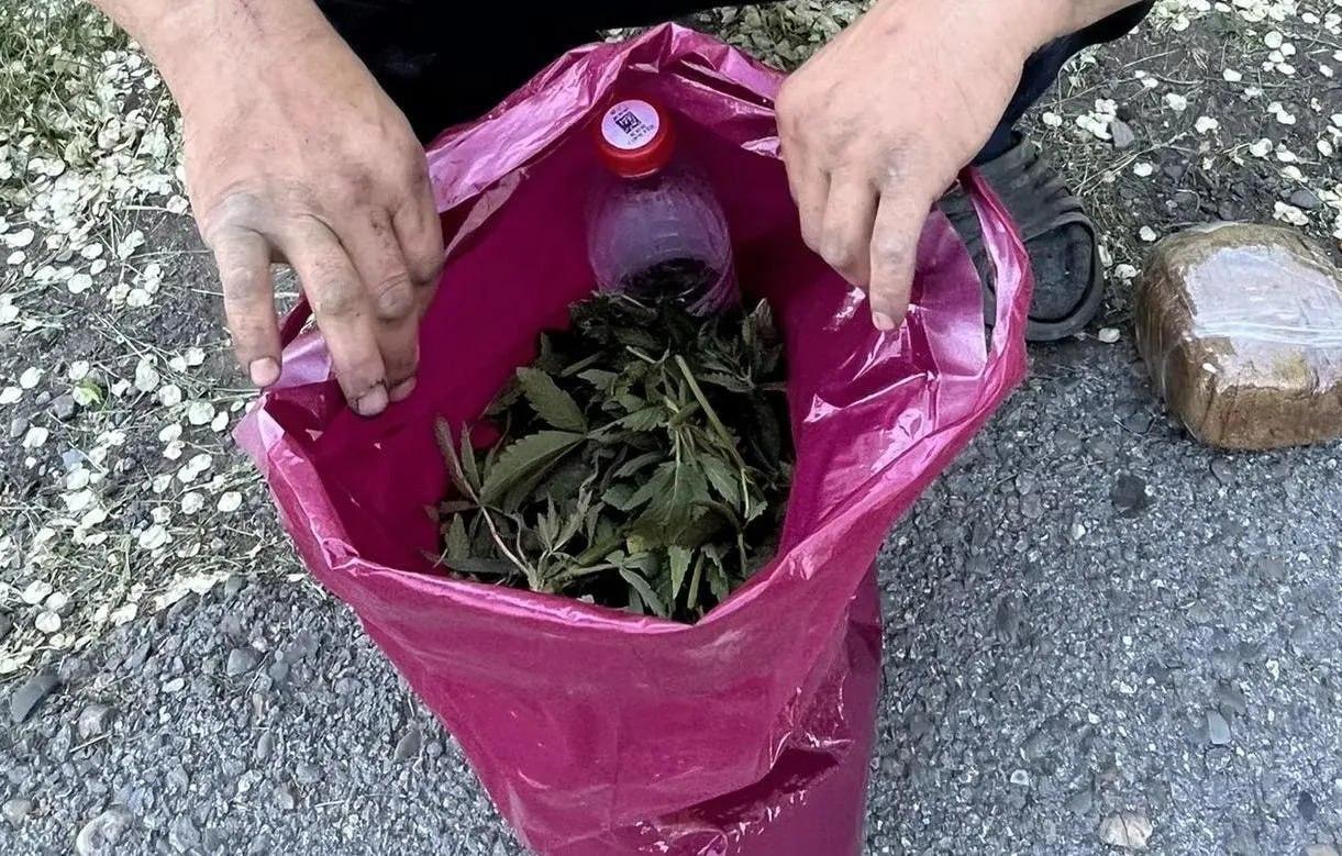 В Усть-Абакане у жителя изъяли крупную партию марихуаны Полицейские Усть-...