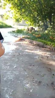 Город засыпает — просыпаются поджигатели пуха В разных районах Екатеринбурга...