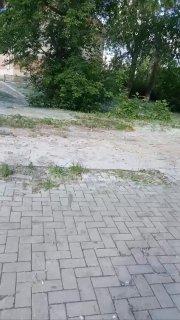 Город засыпает — просыпаются поджигатели пуха В разных районах Екатеринбурга...