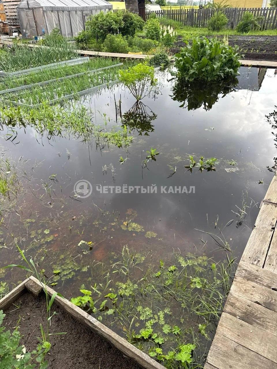 Садовые участки затопило в поселке Сагра