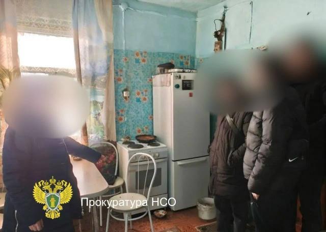 Бытовой конфликт и ударом ножом сожителю: в Новосибирской области в суд...