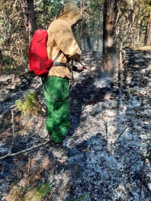 Удар молнии едва не привёл к крупному лесному пожару в Кежемском районе....