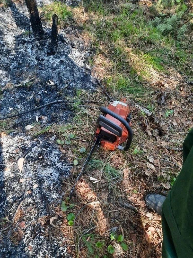 Удар молнии едва не привёл к крупному лесному пожару в Кежемском районе....