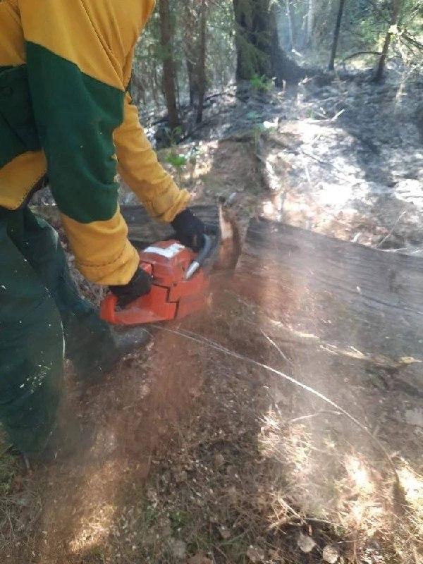 Удар молнии едва не привёл к крупному лесному пожару в Кежемском районе....