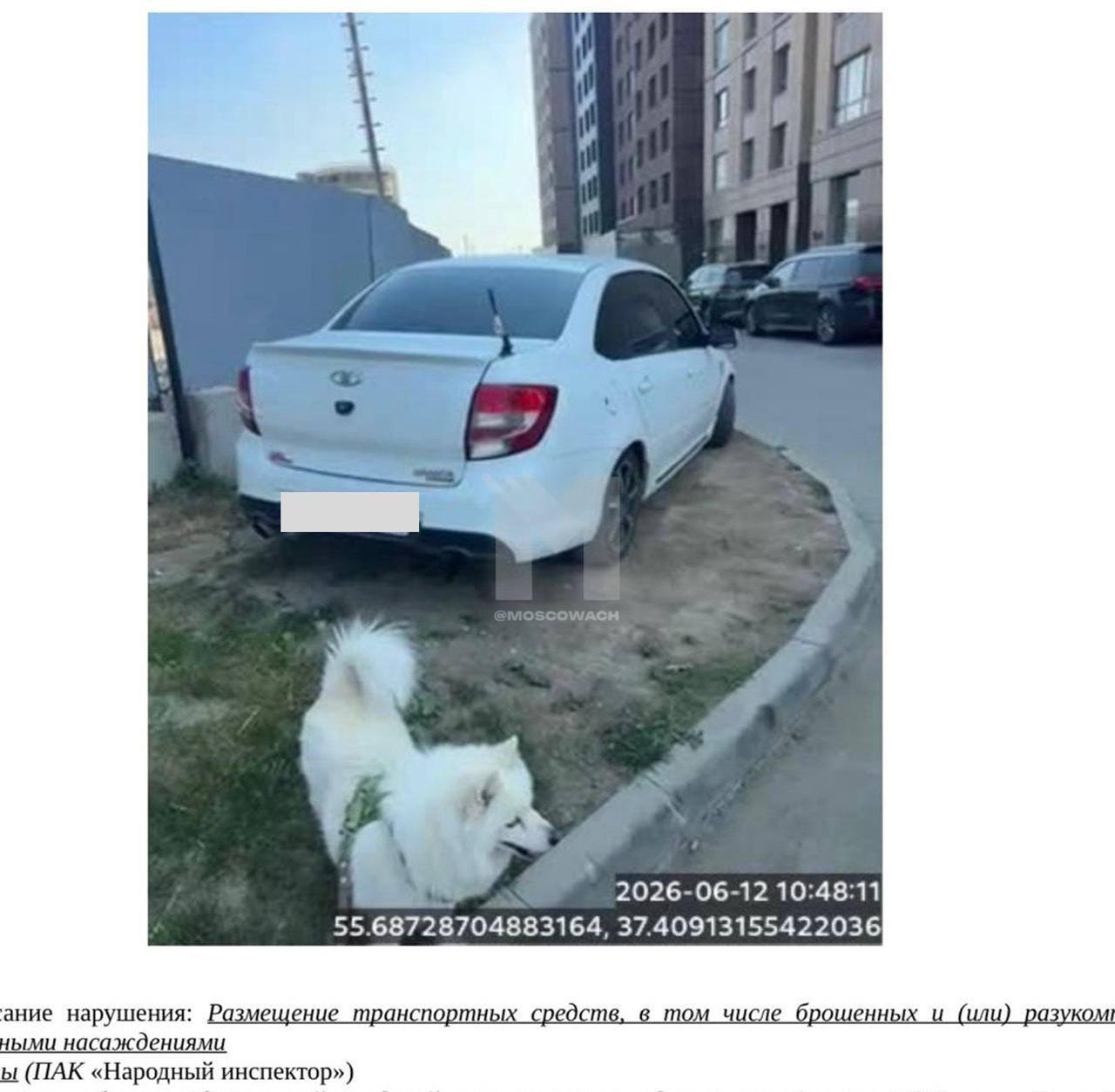 В Одинцово мужчина благодаря собаке на фото нашел женщину, которая «сдала»...