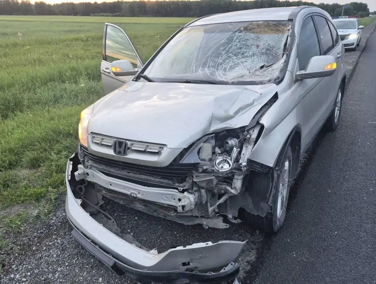 Водитель Honda CRV насмерть сбил пешехода под Новосибирском