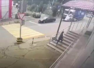Во Владивостоке пенсионерка хотела срезать путь и вышла на дорогу прямо перед...